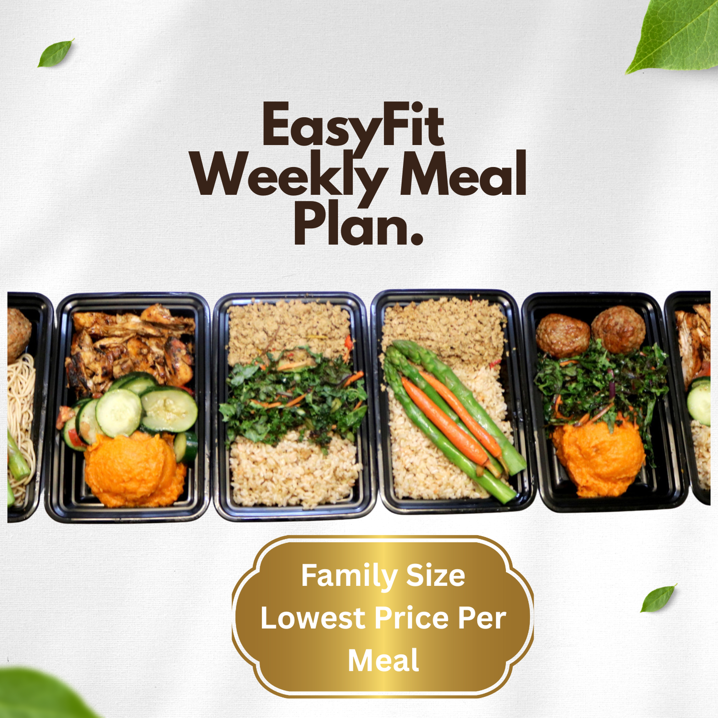 20 Meal Weekly Pack